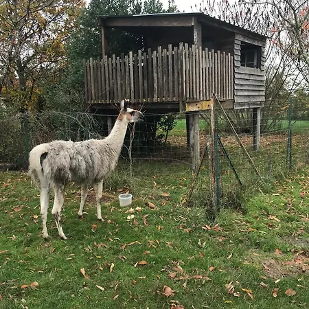 La Fermette Des Lamas Tatil Evi